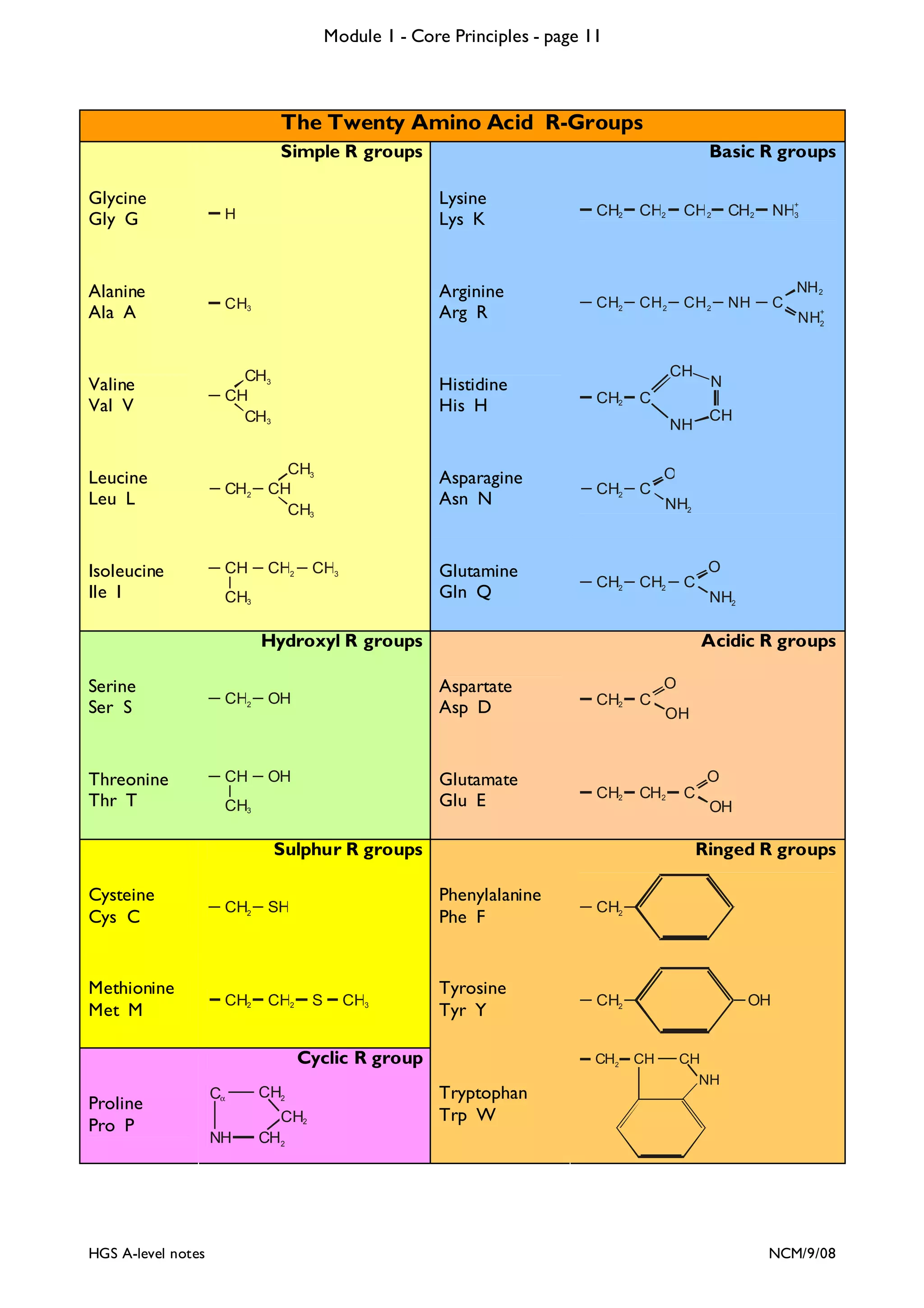 Module 1 - Core Principles - page 11

The Twenty Amino Acid R-Groups
Simple R groups

Basic R groups

Glycine
Gly G

H

Lysine
Lys K

CH2

CH2

CH2

CH2

NH3

Alanine
Ala A

CH3

Arginine
Arg R

CH2

CH 2

CH 2

NH

C

Valine
Val V

CH3
CH
CH3

Histidine
His H

Leucine
Leu L

Isoleucine
Ile I

NH 2

CH
CH2

Threonine
Thr T

NH

CH2

CH3
CH
CH3

Asparagine
Asn N

CH2

CH

CH2

Glutamine
Gln Q

CH2

CH2

CH3

CH3

CH2

CH

O
NH2

O
C
NH2

CH

Acidic R groups
O

Aspartate
Asp D

OH

CH3

CH2

C

Glutamate
Glu E

OH

Cysteine
Cys C

CH2

SH

Methionine
Met M

CH2

CH2

CH2

CH2

O

Phenylalanine
Phe F

S

CH3

Cα

CH2

NH

CH2
CH2

OH

C

OH

Ringed R groups
CH2

Tyrosine
Tyr Y

CH2

Cyclic R group

HGS A-level notes

N

C

Sulphur R groups

Proline
Pro P

+

NH2

C

Hydroxyl R groups
Serine
Ser S

+

CH2

Tryptophan
Trp W

OH

CH

CH
NH

NCM/9/08

 