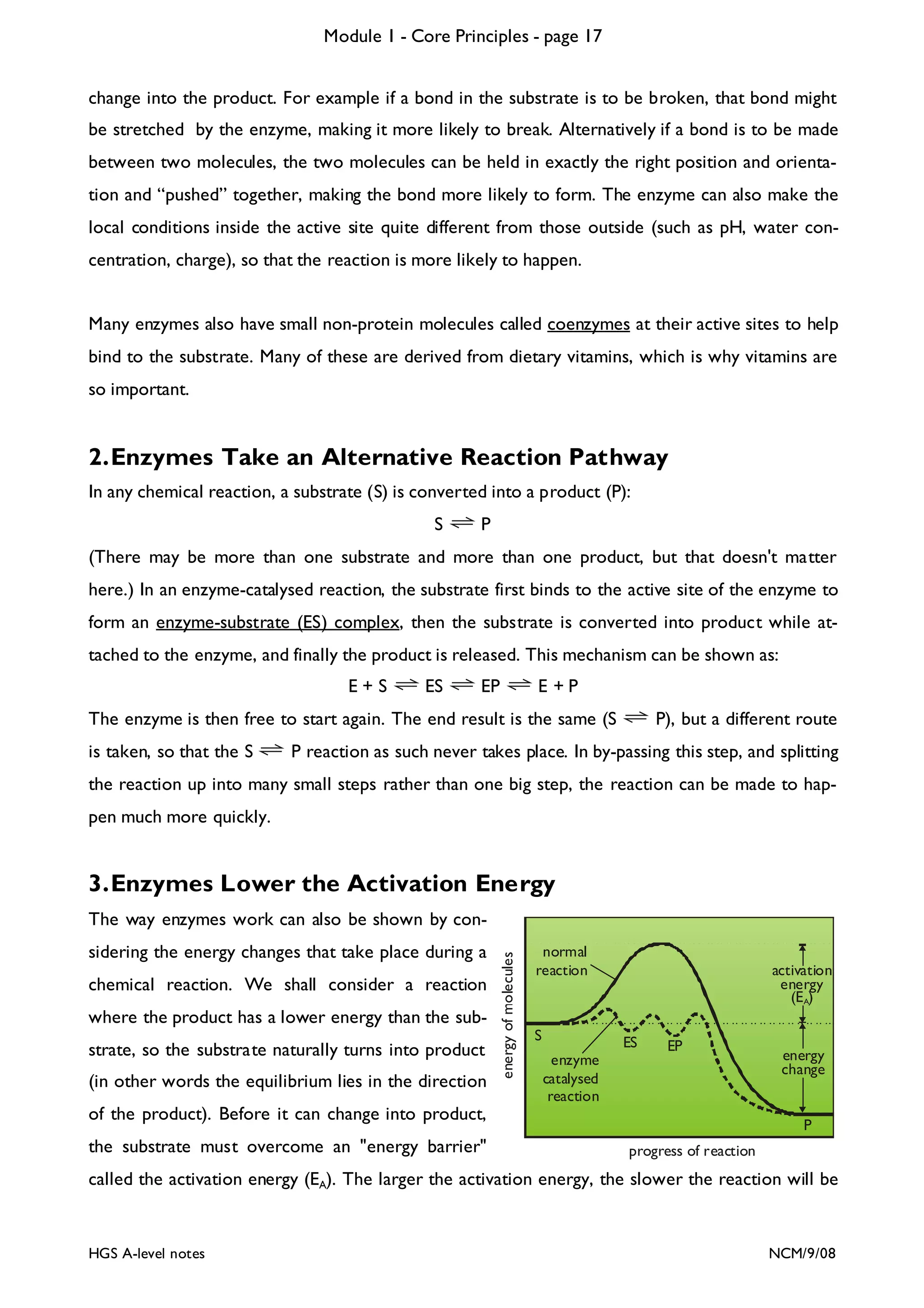 Module 1 - Core Principles - page 17
change into the product. For example if a bond in the substrate is to be broken, that bond might
be stretched by the enzyme, making it more likely to break. Alternatively if a bond is to be made
between two molecules, the two molecules can be held in exactly the right position and orientation and “pushed” together, making the bond more likely to form. The enzyme can also make the
local conditions inside the active site quite different from those outside (such as pH, water concentration, charge), so that the reaction is more likely to happen.
Many enzymes also have small non-protein molecules called coenzymes at their active sites to help
bind to the substrate. Many of these are derived from dietary vitamins, which is why vitamins are
so important.

2. Enzymes Take an Alternative Reaction Pathway
In any chemical reaction, a substrate (S) is converted into a product (P):
S

P

(There may be more than one substrate and more than one product, but that doesn't matter
here.) In an enzyme-catalysed reaction, the substrate first binds to the active site of the enzyme to
form an enzyme-substrate (ES) complex, then the substrate is converted into product while attached to the enzyme, and finally the product is released. This mechanism can be shown as:
E+S

ES

EP

E +P

The enzyme is then free to start again. The end result is the same (S
is taken, so that the S

P), but a different route

P reaction as such never takes place. In by-passing this step, and splitting

the reaction up into many small steps rather than one big step, the reaction can be made to happen much more quickly.

3. Enzymes Lower the Activation Energy
sidering the energy changes that take place during a
chemical reaction. We shall consider a reaction
where the product has a lower energy than the substrate, so the substrate naturally turns into product
(in other words the equilibrium lies in the direction

energy of molecules

The way enzymes work can also be shown by connormal
reaction

S

activation
energy
(EA)
ES

enzyme
catalysed
reaction

EP

of the product). Before it can change into product,
the substrate must overcome an "energy barrier"

energy
change

P
progress of reaction

called the activation energy (EA). The larger the activation energy, the slower the reaction will be

HGS A-level notes

NCM/9/08

 