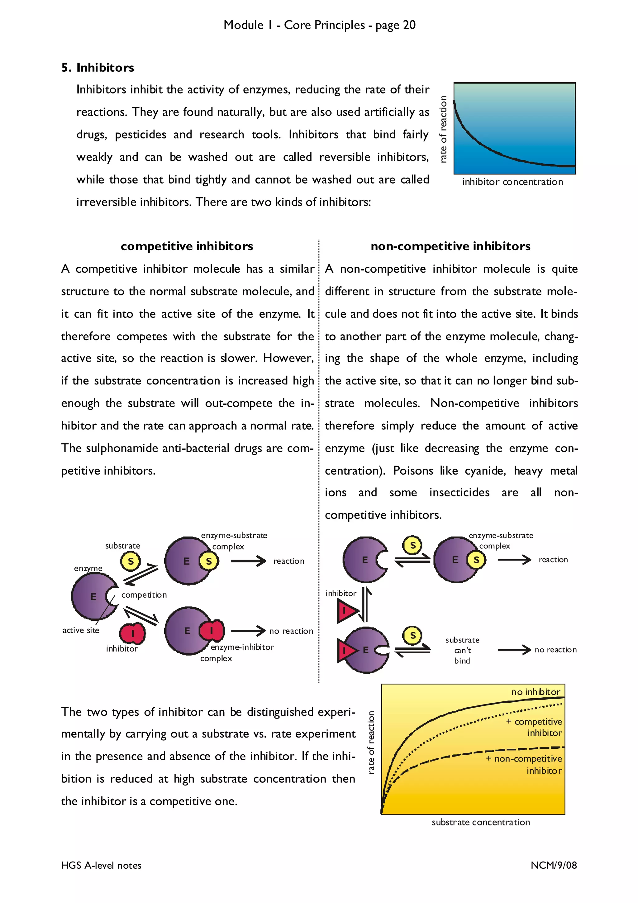 Module 1 - Core Principles - page 20

Inhibitors inhibit the activity of enzymes, reducing the rate of their
reactions. They are found naturally, but are also used artificially as
drugs, pesticides and research tools. Inhibitors that bind fairly
weakly and can be washed out are called reversible inhibitors,

rate of reaction

5. Inhibitors

while those that bind tightly and cannot be washed out are called

inhibitor concentration

irreversible inhibitors. There are two kinds of inhibitors:
competitive inhibitors

non-competitive inhibitors

A competitive inhibitor molecule has a similar A non-competitive inhibitor molecule is quite
structure to the normal substrate molecule, and different in structure from the substrate moleit can fit into the active site of the enzyme. It cule and does not fit into the active site. It binds
therefore competes with the substrate for the to another part of the enzyme molecule, changactive site, so the reaction is slower. However, ing the shape of the whole enzyme, including
if the substrate concentration is increased high the active site, so that it can no longer bind subenough the substrate will out-compete the in- strate molecules. Non-competitive inhibitors
hibitor and the rate can approach a normal rate. therefore simply reduce the amount of active
The sulphonamide anti-bacterial drugs are com- enzyme (just like decreasing the enzyme conpetitive inhibitors.

centration). Poisons like cyanide, heavy metal
ions and some insecticides are all noncompetitive inhibitors.
enzyme-substrate
complex

substrate
enzyme

E

S

E

S

enzyme-substrate
complex

S
E

reaction

E

reaction

S

inhibitor

competition

I
active site

I
inhibitor

E

I

no reaction

enzyme-inhibitor
complex

S
I

E

substrate
can't
bind

no reaction

The two types of inhibitor can be distinguished experimentally by carrying out a substrate vs. rate experiment
in the presence and absence of the inhibitor. If the inhibition is reduced at high substrate concentration then

rate of reaction

no inhibitor
+ competitive
inhibitor
+ non-competitive
inhibitor

the inhibitor is a competitive one.
substrate concentration

HGS A-level notes

NCM/9/08

 