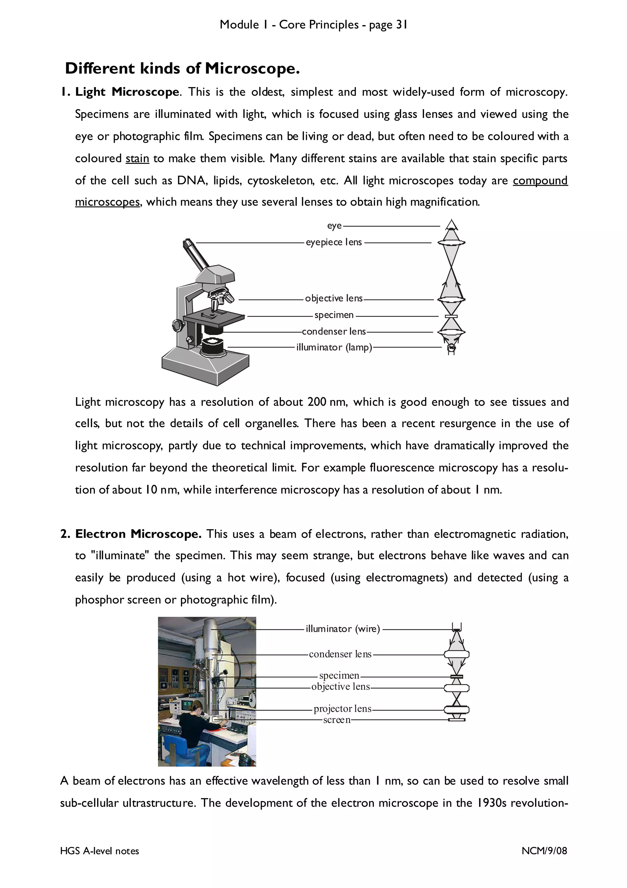 Module 1 - Core Principles - page 31

Different kinds of Microscope.
1. Light Microscope. This is the oldest, simplest and most widely-used form of microscopy.
Specimens are illuminated with light, which is focused using glass lenses and viewed using the
eye or photographic film. Specimens can be living or dead, but often need to be coloured with a
coloured stain to make them visible. Many different stains are available that stain specific parts
of the cell such as DNA, lipids, cytoskeleton, etc. All light microscopes today are compound
microscopes, which means they use several lenses to obtain high magnification.
eye
eyepiece lens

objective lens
specimen
condenser lens
illuminator (lamp)

Light microscopy has a resolution of about 200 nm, which is good enough to see tissues and
cells, but not the details of cell organelles. There has been a recent resurgence in the use of
light microscopy, partly due to technical improvements, which have dramatically improved the
resolution far beyond the theoretical limit. For example fluorescence microscopy has a resolution of about 10 nm, while interference microscopy has a resolution of about 1 nm.

2. Electron Microscope. This uses a beam of electrons, rather than electromagnetic radiation,
to "illuminate" the specimen. This may seem strange, but electrons behave like waves and can
easily be produced (using a hot wire), focused (using electromagnets) and detected (using a
phosphor screen or photographic film).
illuminator (wire)
condenser lens
specimen
objective lens
projector lens
screen

A beam of electrons has an effective wavelength of less than 1 nm, so can be used to resolve small
sub-cellular ultrastructure. The development of the electron microscope in the 1930s revolution-

HGS A-level notes

NCM/9/08

 