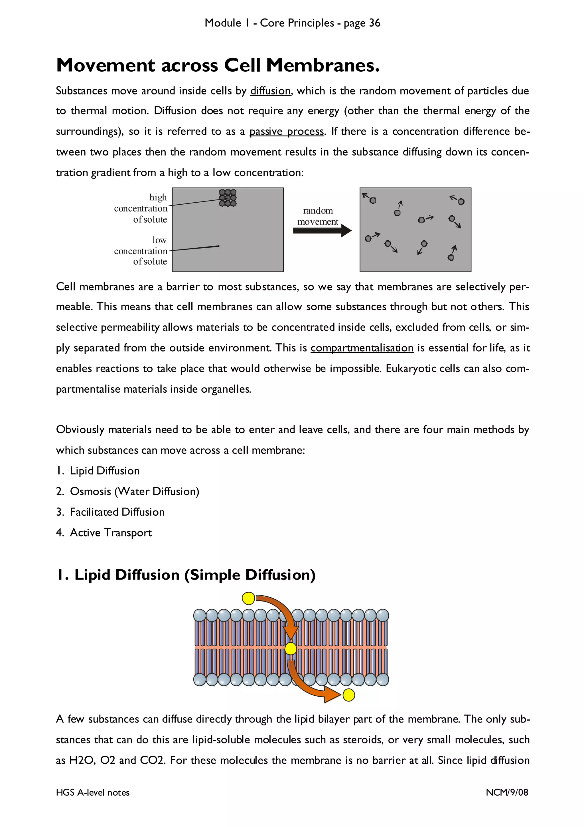 Module 1 - Core Principles - page 36

Movement across Cell Membranes.
Substances move around inside cells by diffusion, which is the random movement of particles due
to thermal motion. Diffusion does not require any energy (other than the thermal energy of the
surroundings), so it is referred to as a passive process. If there is a concentration difference between two places then the random movement results in the substance diffusing down its concentration gradient from a high to a low concentration:
high
concentration
of solute

random
movement

low
concentration
of solute

Cell membranes are a barrier to most substances, so we say that membranes are selectively permeable. This means that cell membranes can allow some substances through but not others. This
selective permeability allows materials to be concentrated inside cells, excluded from cells, or simply separated from the outside environment. This is compartmentalisation is essential for life, as it
enables reactions to take place that would otherwise be impossible. Eukaryotic cells can also compartmentalise materials inside organelles.
Obviously materials need to be able to enter and leave cells, and there are four main methods by
which substances can move across a cell membrane:
1. Lipid Diffusion
2. Osmosis (Water Diffusion)
3. Facilitated Diffusion
4. Active Transport

1. Lipid Diffusion (Simple Diffusion)

A few substances can diffuse directly through the lipid bilayer part of the membrane. The only substances that can do this are lipid-soluble molecules such as steroids, or very small molecules, such
as H2O, O2 and CO2. For these molecules the membrane is no barrier at all. Since lipid diffusion
HGS A-level notes

NCM/9/08

 
