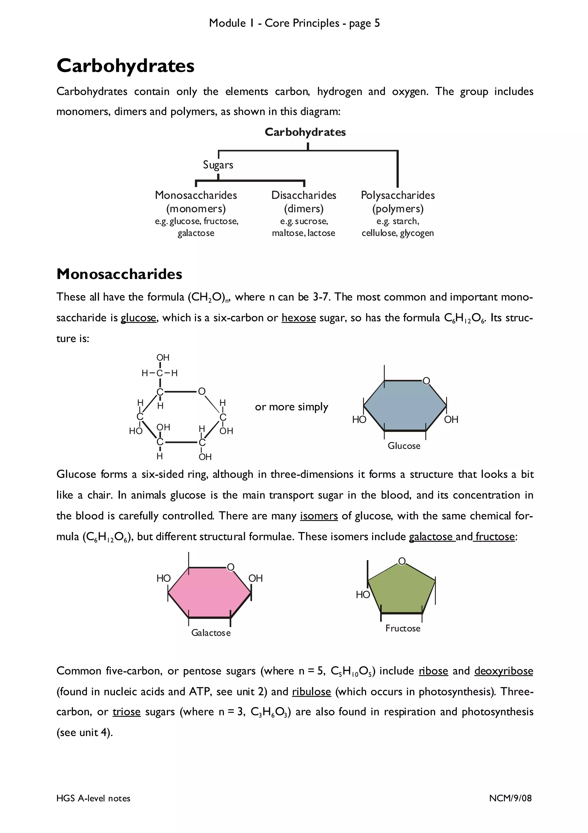 Module 1 - Core Principles - page 5

Carbohydrates
Carbohydrates contain only the elements carbon, hydrogen and oxygen. The group includes
monomers, dimers and polymers, as shown in this diagram:
Carbohydrates
Sugars
Monosaccharides
(monomers)

Disaccharides
(dimers)

Polysaccharides
(polymers)

e.g. glucose, fructose,
galactose

e.g. sucrose,
maltose, lactose

e.g. starch,
cellulose, glycogen

Monosaccharides
These all have the formula (CH2 O)n, where n can be 3-7. The most common and important monosaccharide is glucose, which is a six-carbon or hexose sugar, so has the formula C6H12 O6. Its structure is:
OH
H C H

C
H

O
O
H

H

C
OH

H

C

HO

C

H

HO

or more simply

C

OH

OH

OH

Glucose

Glucose forms a six-sided ring, although in three-dimensions it forms a structure that looks a bit
like a chair. In animals glucose is the main transport sugar in the blood, and its concentration in
the blood is carefully controlled. There are many isomers of glucose, with the same chemical formula (C6 H12 O6 ), but different structural formulae. These isomers include galactose and fructose:
O

O
HO

OH

HO

Galactose

Fructose

Common five-carbon, or pentose sugars (where n = 5, C5 H10 O5 ) include ribose and deoxyribose
(found in nucleic acids and ATP, see unit 2) and ribulose (which occurs in photosynthesis). Threecarbon, or triose sugars (where n = 3, C3 H6 O3 ) are also found in respiration and photosynthesis
(see unit 4).

HGS A-level notes

NCM/9/08

 