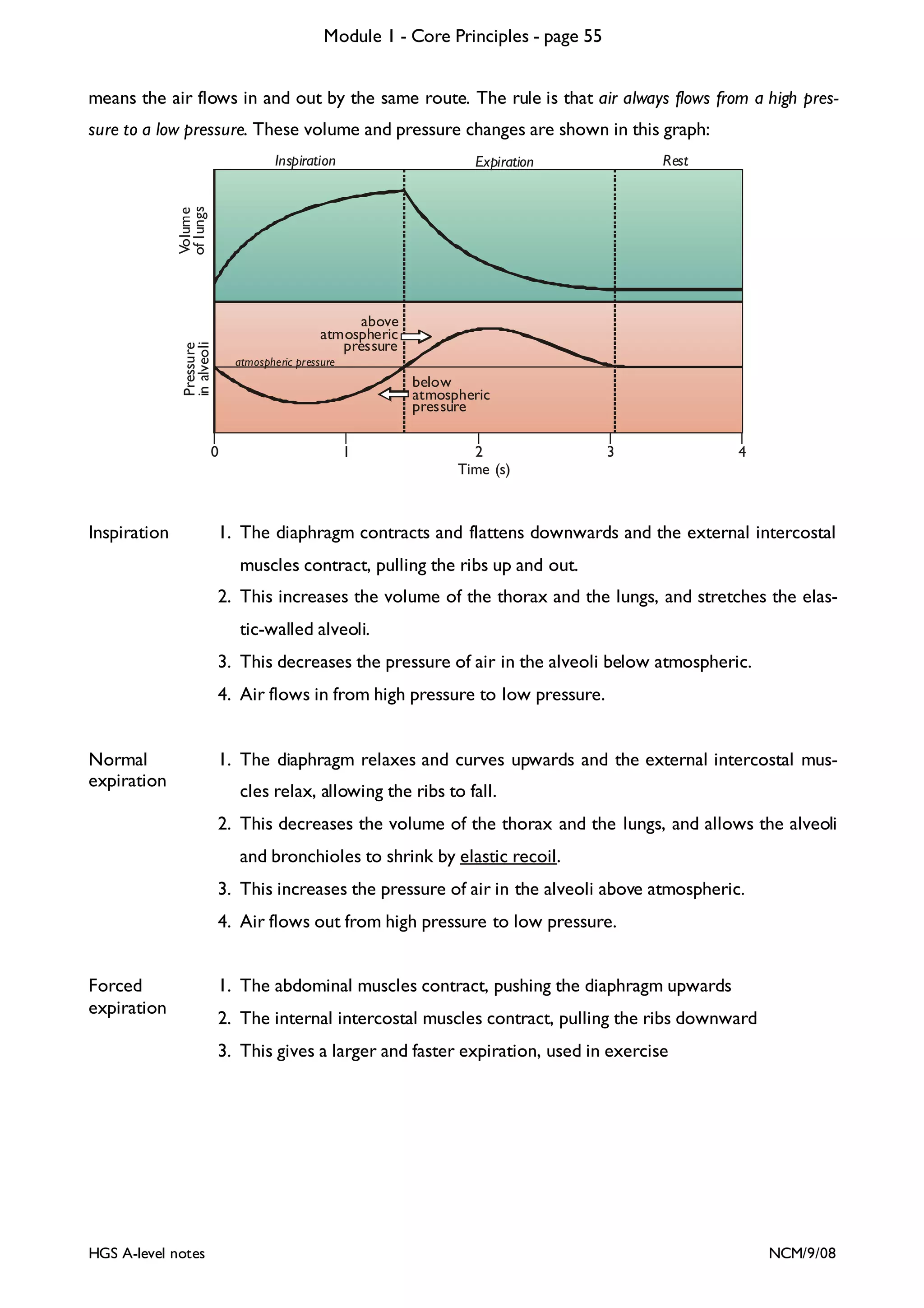Module 1 - Core Principles - page 55
means the air flows in and out by the same route. The rule is that air always flows from a high pressure to a low pressure. These volume and pressure changes are shown in this graph:
Inspiration

Rest

Volume
of lungs

Expiration

Pressure
in alveoli

above
atmospheric
pressure
atmospheric pressure

below
atmospheric
pressure

0

Inspiration

1

2
Time (s)

3

4

1. The diaphragm contracts and flattens downwards and the external intercostal
muscles contract, pulling the ribs up and out.
2. This increases the volume of the thorax and the lungs, and stretches the elastic-walled alveoli.
3. This decreases the pressure of air in the alveoli below atmospheric.
4. Air flows in from high pressure to low pressure.

Normal
expiration

1. The diaphragm relaxes and curves upwards and the external intercostal muscles relax, allowing the ribs to fall.
2. This decreases the volume of the thorax and the lungs, and allows the alveoli
and bronchioles to shrink by elastic recoil.
3. This increases the pressure of air in the alveoli above atmospheric.
4. Air flows out from high pressure to low pressure.

Forced
expiration

1. The abdominal muscles contract, pushing the diaphragm upwards
2. The internal intercostal muscles contract, pulling the ribs downward
3. This gives a larger and faster expiration, used in exercise

HGS A-level notes

NCM/9/08

 