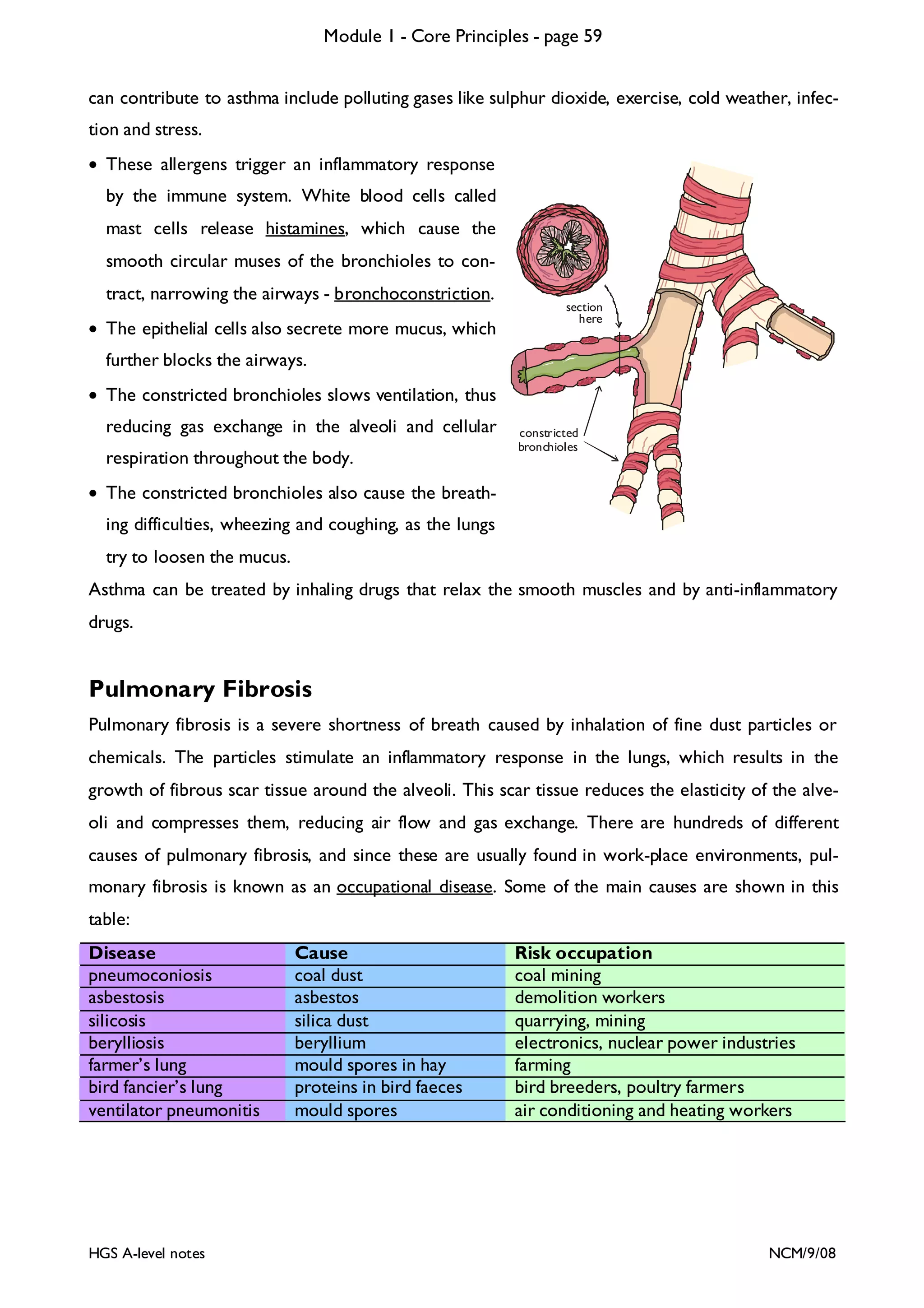 Module 1 - Core Principles - page 59
can contribute to asthma include polluting gases like sulphur dioxide, exercise, cold weather, infection and stress.
• These allergens trigger an inflammatory response
by the immune system. White blood cells called
mast cells release histamines, which cause the
smooth circular muses of the bronchioles to contract, narrowing the airways - bronchoconstriction.
• The epithelial cells also secrete more mucus, which

section
here

further blocks the airways.
• The constricted bronchioles slows ventilation, thus
reducing gas exchange in the alveoli and cellular
respiration throughout the body.

constricted
bronchioles

• The constricted bronchioles also cause the breathing difficulties, wheezing and coughing, as the lungs
try to loosen the mucus.
Asthma can be treated by inhaling drugs that relax the smooth muscles and by anti-inflammatory
drugs.

Pulmonary Fibrosis
Pulmonary fibrosis is a severe shortness of breath caused by inhalation of fine dust particles or
chemicals. The particles stimulate an inflammatory response in the lungs, which results in the
growth of fibrous scar tissue around the alveoli. This scar tissue reduces the elasticity of the alveoli and compresses them, reducing air flow and gas exchange. There are hundreds of different
causes of pulmonary fibrosis, and since these are usually found in work-place environments, pulmonary fibrosis is known as an occupational disease. Some of the main causes are shown in this
table:
Disease
pneumoconiosis
asbestosis
silicosis
berylliosis
farmer’s lung
bird fancier’s lung
ventilator pneumonitis

HGS A-level notes

Cause
coal dust
asbestos
silica dust
beryllium
mould spores in hay
proteins in bird faeces
mould spores

Risk occupation
coal mining
demolition workers
quarrying, mining
electronics, nuclear power industries
farming
bird breeders, poultry farmers
air conditioning and heating workers

NCM/9/08

 