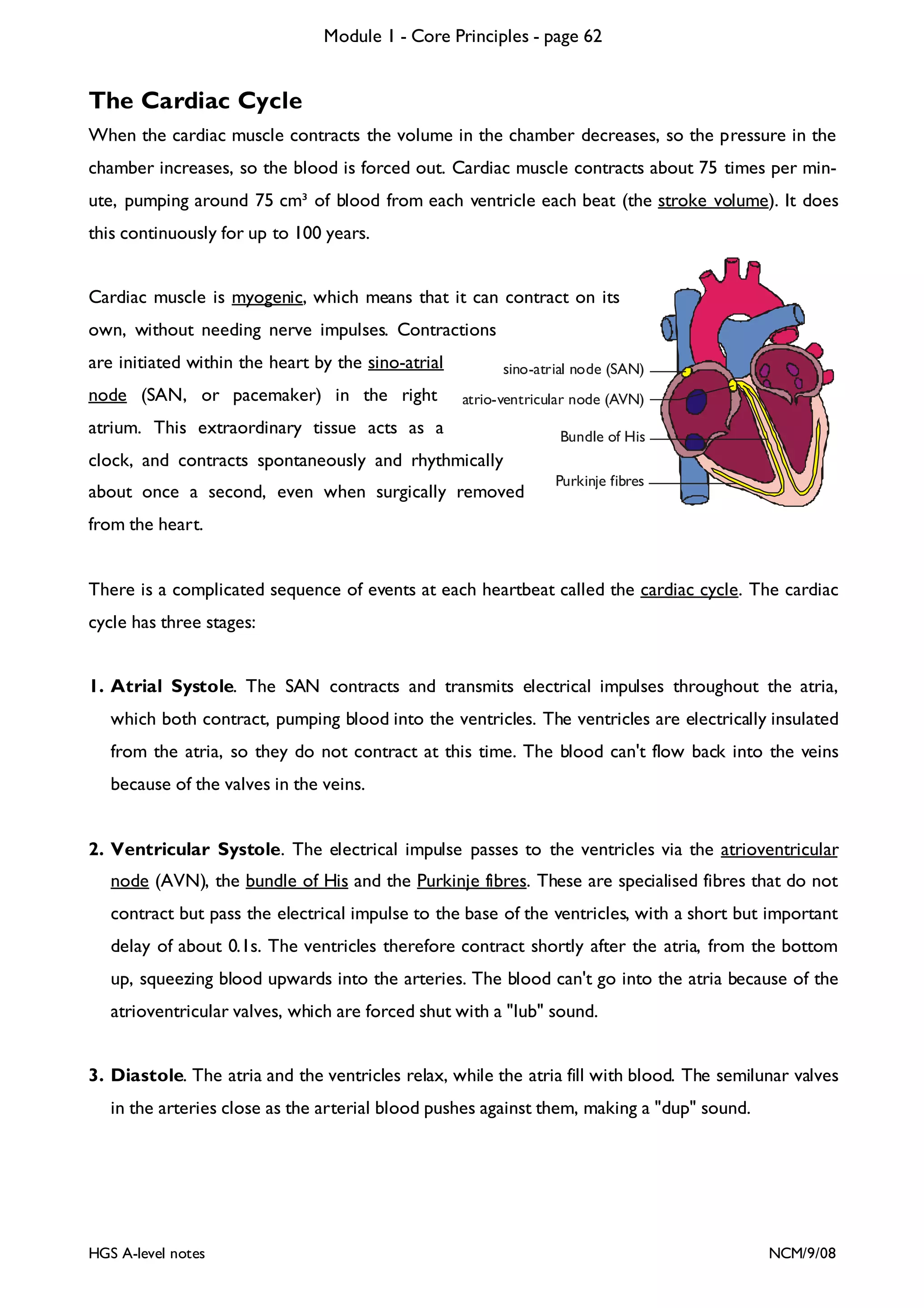 Module 1 - Core Principles - page 62

The Cardiac Cycle
When the cardiac muscle contracts the volume in the chamber decreases, so the pressure in the
chamber increases, so the blood is forced out. Cardiac muscle contracts about 75 times per minute, pumping around 75 cm³ of blood from each ventricle each beat (the stroke volume). It does
this continuously for up to 100 years.
Cardiac muscle is myogenic, which means that it can contract on its
own, without needing nerve impulses. Contractions
are initiated within the heart by the sino-atrial
node (SAN, or pacemaker) in the right

sino-atrial node (SAN)
atrio-ventricular node (AVN)

atrium. This extraordinary tissue acts as a

Bundle of His

clock, and contracts spontaneously and rhythmically
about once a second, even when surgically removed

Purkinje fibres

from the heart.
There is a complicated sequence of events at each heartbeat called the cardiac cycle. The cardiac
cycle has three stages:
1. Atrial Systole. The SAN contracts and transmits electrical impulses throughout the atria,

which both contract, pumping blood into the ventricles. The ventricles are electrically insulated
from the atria, so they do not contract at this time. The blood can't flow back into the veins
because of the valves in the veins.
2. Ventricular Systole. The electrical impulse passes to the ventricles via the atrioventricular

node (AVN), the bundle of His and the Purkinje fibres. These are specialised fibres that do not
contract but pass the electrical impulse to the base of the ventricles, with a short but important
delay of about 0.1s. The ventricles therefore contract shortly after the atria, from the bottom
up, squeezing blood upwards into the arteries. The blood can't go into the atria because of the
atrioventricular valves, which are forced shut with a "lub" sound.
3. Diastole. The atria and the ventricles relax, while the atria fill with blood. The semilunar valves

in the arteries close as the arterial blood pushes against them, making a "dup" sound.

HGS A-level notes

NCM/9/08

 