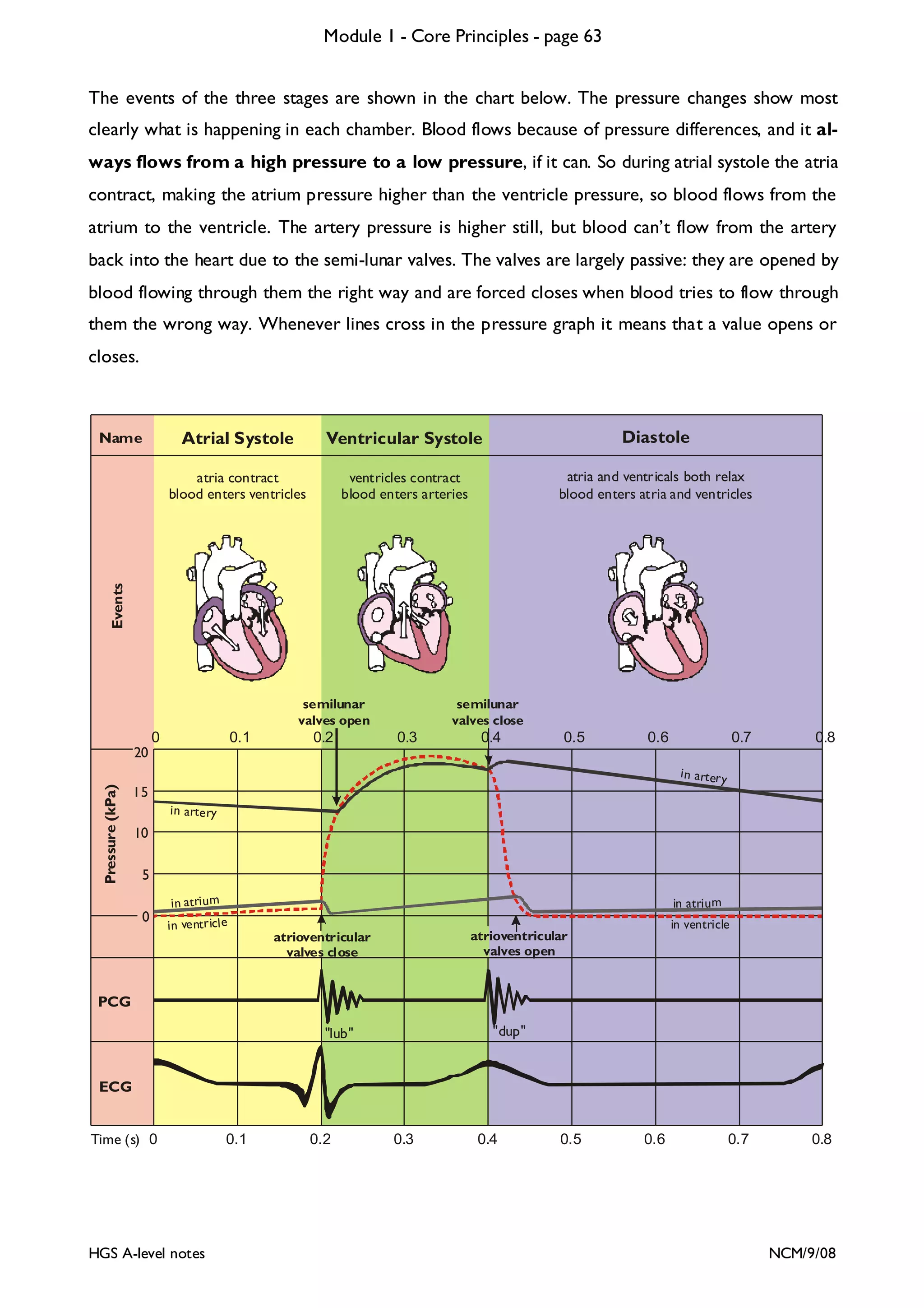 Module 1 - Core Principles - page 63
The events of the three stages are shown in the chart below. The pressure changes show most
clearly what is happening in each chamber. Blood flows because of pressure differences, and it always flows from a high pressure to a low pressure, if it can. So during atrial systole the atria

contract, making the atrium pressure higher than the ventricle pressure, so blood flows from the
atrium to the ventricle. The artery pressure is higher still, but blood can’t flow from the artery
back into the heart due to the semi-lunar valves. The valves are largely passive: they are opened by
blood flowing through them the right way and are forced closes when blood tries to flow through
them the wrong way. Whenever lines cross in the pressure graph it means that a value opens or
closes.

Atrial Systole

Diastole

ventricles contract
blood enters arteries

atria and ventricals both relax
blood enters atria and ventricles

Events

Ventricular Systole

atria contract
blood enters ventricles

Name

semilunar
valves open

0

0.1

0.2

semilunar
valves close

0.3

0.4

0.5

0.6

0.7

0.8

0.7

0.8

Pressure (kPa)

20
i n arter y

15
in artery

10
5
0

in atriu m
in ventricl e

in atriu m

in ventricle

atrioventricular
valves open

atrioventricular
valves close

PCG
"dup"

"lub"

ECG

Time (s) 0

HGS A-level notes

0.1

0.2

0.3

0.4

0.5

0.6

NCM/9/08

 