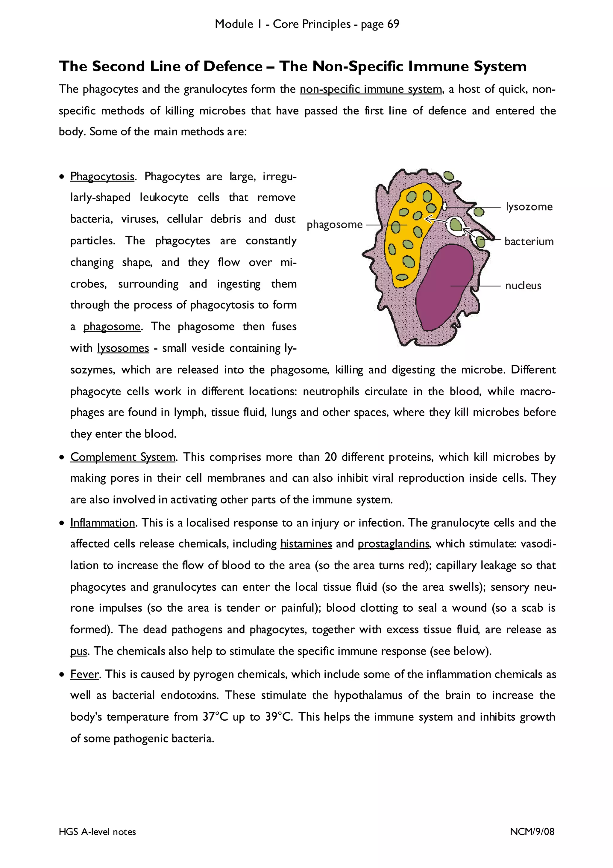 Module 1 - Core Principles - page 69

The Second Line of Defence – The Non-Specific Immune System
The phagocytes and the granulocytes form the non-specific immune system, a host of quick, nonspecific methods of killing microbes that have passed the first line of defence and entered the
body. Some of the main methods are:
• Phagocytosis. Phagocytes are large, irregularly-shaped leukocyte cells that remove
bacteria, viruses, cellular debris and dust phagosome
particles. The phagocytes are constantly

lysozome
bacterium

changing shape, and they flow over microbes, surrounding and ingesting them

nucleus

through the process of phagocytosis to form
a phagosome. The phagosome then fuses
with lysosomes - small vesicle containing lysozymes, which are released into the phagosome, killing and digesting the microbe. Different
phagocyte cells work in different locations: neutrophils circulate in the blood, while macrophages are found in lymph, tissue fluid, lungs and other spaces, where they kill microbes before
they enter the blood.
• Complement System. This comprises more than 20 different proteins, which kill microbes by
making pores in their cell membranes and can also inhibit viral reproduction inside cells. They
are also involved in activating other parts of the immune system.
• Inflammation. This is a localised response to an injury or infection. The granulocyte cells and the
affected cells release chemicals, including histamines and prostaglandins, which stimulate: vasodilation to increase the flow of blood to the area (so the area turns red); capillary leakage so that
phagocytes and granulocytes can enter the local tissue fluid (so the area swells); sensory neurone impulses (so the area is tender or painful); blood clotting to seal a wound (so a scab is
formed). The dead pathogens and phagocytes, together with excess tissue fluid, are release as
pus. The chemicals also help to stimulate the specific immune response (see below).
• Fever. This is caused by pyrogen chemicals, which include some of the inflammation chemicals as
well as bacterial endotoxins. These stimulate the hypothalamus of the brain to increase the
body's temperature from 37°C up to 39°C. This helps the immune system and inhibits growth
of some pathogenic bacteria.

HGS A-level notes

NCM/9/08

 
