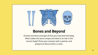 Choose one bone amongst all that you have learned today.
What makes this bone unique and what is its role in the
human body? Share your answers with a partner and
prepare to discuss them in class.
Bones and Beyond
16
 