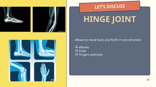 20
LET’S DISCUSS
HINGE JOINT
Allows to move back and forth in one direction
 elbows
 Knee
 Fingers and toes
 