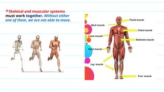 Skeletal and muscular systems
must work together. Without either
one of them, we are not able to move.
 