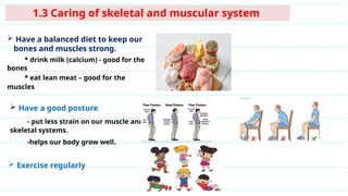 1.3 Caring of skeletal and muscular system
 Have a balanced diet to keep our
bones and muscles strong.
* drink milk (calcium) - good for the
bones
* eat lean meat – good for the
muscles
 Have a good posture
- put less strain on our muscle and
skeletal systems.
-helps our body grow well.
 Exercise regularly
 