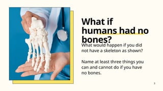 What would happen if you did
not have a skeleton as shown?
Name at least three things you
can and cannot do if you have
no bones.
What if
humans had no
bones?
3
 