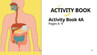 Pages 6- 9
Activity Book 4A
ACTIVITY BOOK
20
 