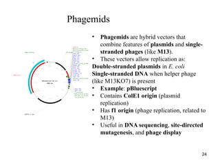 Unit 1 Part 1.pptxanmdm asm.,,sammmd,sks | PPTX