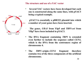 Unit 1 Part 1.pptxanmdm asm.,,sammmd,sks | PPTX