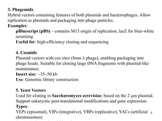 Unit 1 Part 1.pptxanmdm asm.,,sammmd,sks | PPTX