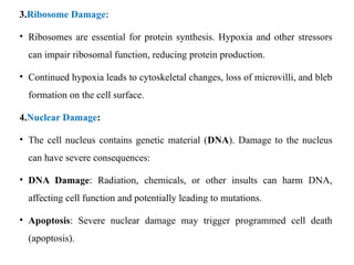 Basic Principles of Cell Injury and Adaptation | PPTX