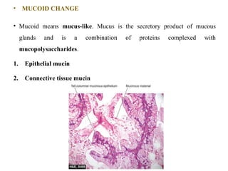 Mucoyd Basic Principles of Cell Injury and Adaptation | PPTX