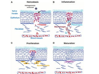 Basic Principles of Cell Injury and Adaptation | PPTX