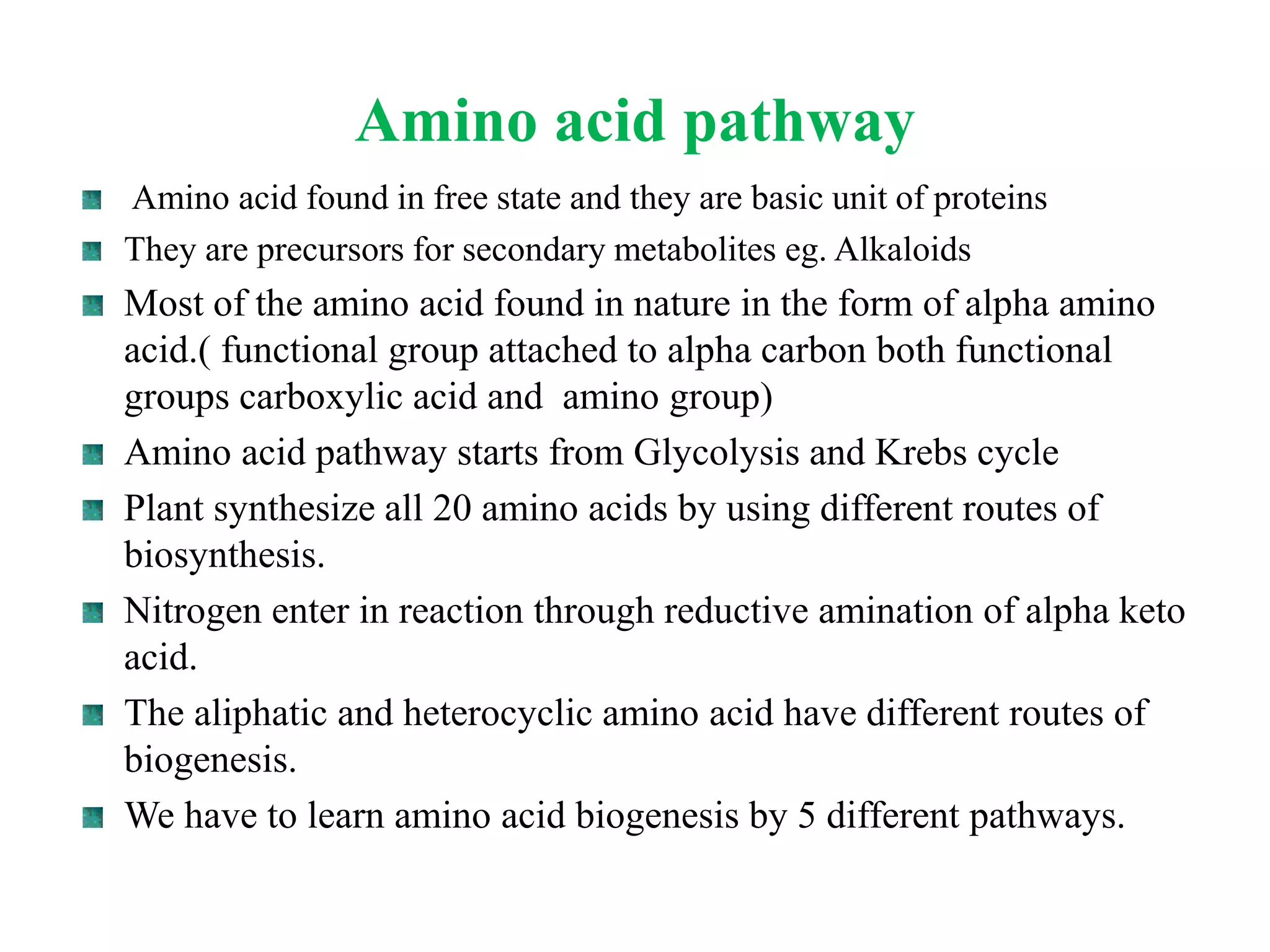 Amino acid pathway
Amino acid found in free state and they are basic unit of proteins
They are precursors for secondary metabolites eg. Alkaloids
Most of the amino acid found in nature in the form of alpha amino
acid.( functional group attached to alpha carbon both functional
groups carboxylic acid and amino group)
Amino acid pathway starts from Glycolysis and Krebs cycle
Plant synthesize all 20 amino acids by using different routes of
biosynthesis.
Nitrogen enter in reaction through reductive amination of alpha keto
acid.
The aliphatic and heterocyclic amino acid have different routes of
biogenesis.
We have to learn amino acid biogenesis by 5 different pathways.
 