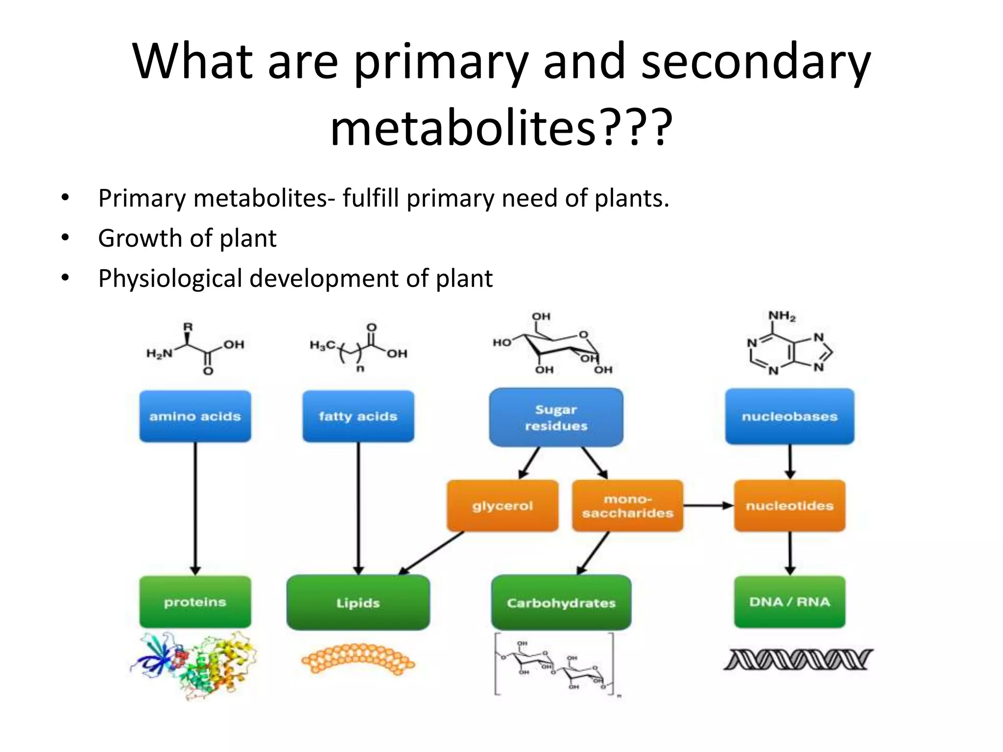 What are primary and secondary
metabolites???
• Primary metabolites- fulfill primary need of plants.
• Growth of plant
• Physiological development of plant
 