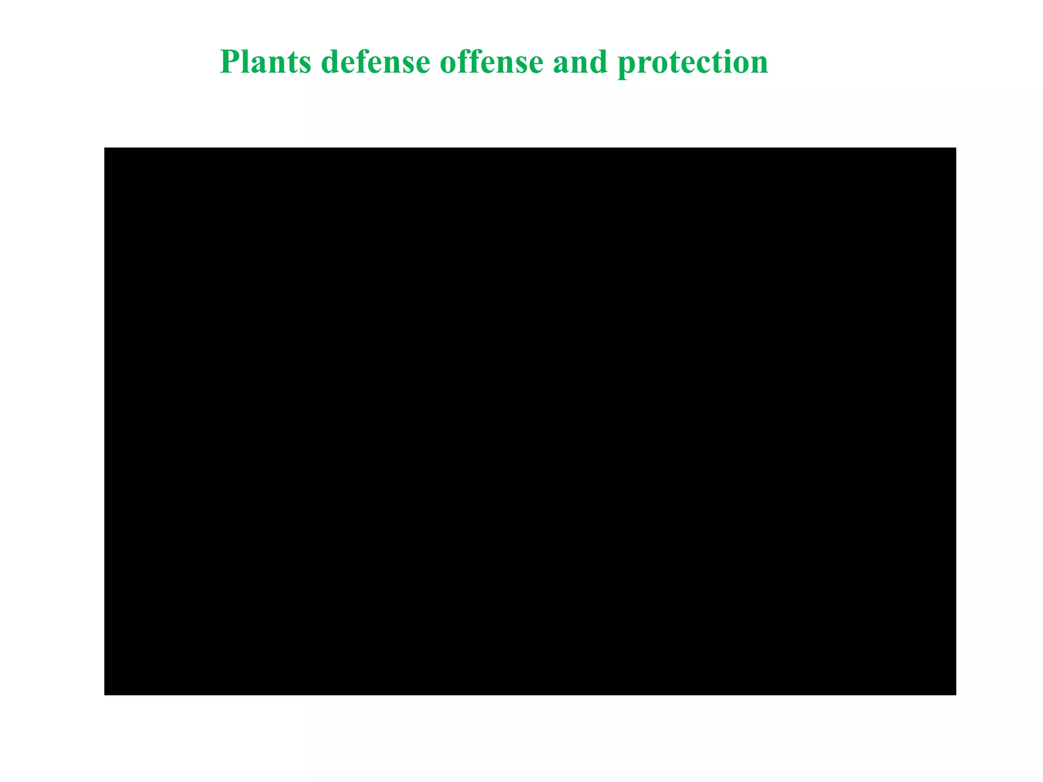 Plants defense offense and protection
 