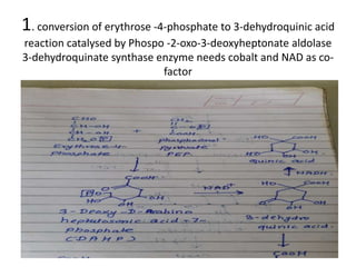 1. conversion of erythrose -4-phosphate to 3-dehydroquinic acid
reaction catalysed by Phospo -2-oxo-3-deoxyheptonate aldolase
3-dehydroquinate synthase enzyme needs cobalt and NAD as co-
factor
 