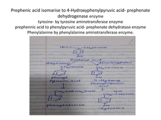 Prephenic acid isomarise to 4-Hydroxyphenylpyruvic acid- prephenate
dehydrogenase enzyme
tyrosine- by tyrosine aminotransferase enzyme
prephennic acid to phenylpyruvic acid- prephenate dehydratase enzyme
Phenylalanine by phenylalanine aminotransferase enzyme.
 