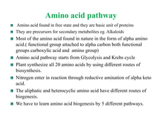Amino acid pathway
Amino acid found in free state and they are basic unit of proteins
They are precursors for secondary metabolites eg. Alkaloids
Most of the amino acid found in nature in the form of alpha amino
acid.( functional group attached to alpha carbon both functional
groups carboxylic acid and amino group)
Amino acid pathway starts from Glycolysis and Krebs cycle
Plant synthesize all 20 amino acids by using different routes of
biosynthesis.
Nitrogen enter in reaction through reductive amination of alpha keto
acid.
The aliphatic and heterocyclic amino acid have different routes of
biogenesis.
We have to learn amino acid biogenesis by 5 different pathways.
 