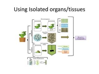 Using Isolated organs/tissues
 