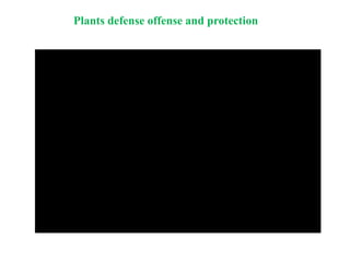 Plants defense offense and protection
 