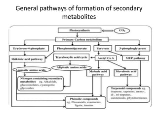General pathways of formation of secondary
metabolites
 
