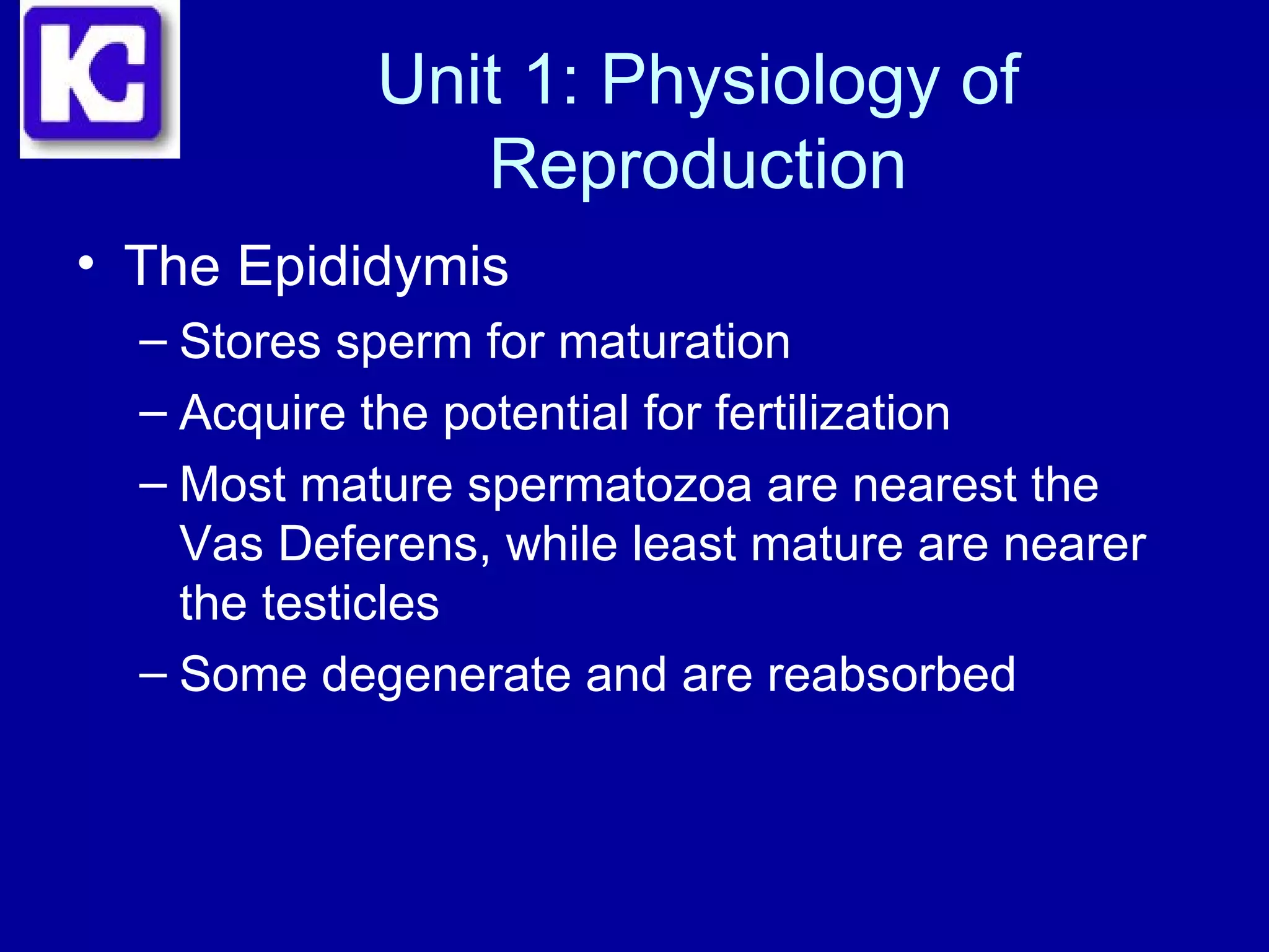 physiology of reproduction | PPT