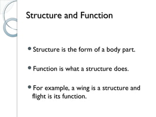 Unit1 ppt Classification of Organisms | PPT