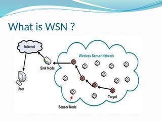 What is WSN ?
 