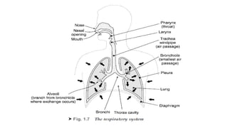 introduction to biomedical instrumentation