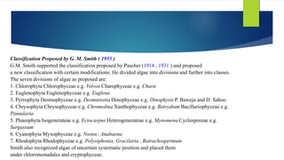 Smith Classification introduction to algae - ppt | PPTX