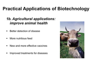 1b. Agricultural applications:
improve animal health
 Better detection of disease
 More nutritious feed
 New and more effective vaccines
 Improved treatments for diseases
Practical Applications of Biotechnology
 