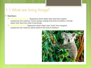 1.1 What are living things?
 Nutrition:
 Heterotrophic nutrition. Organisms which obtain their food from organic
substances (for instance, human beings undergo this kind of nutrition). Animals
obtain their food from other living things.
 Autotrophic nutrition. Organisms which obtain their “food” from inorganic
substances (for instance, plants perform this kind of nutrition).
 