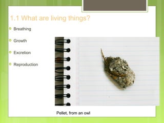 1.1 What are living things?
 Breathing
 Growth
 Excretion
 Reproduction
Pellet, from an owl
 