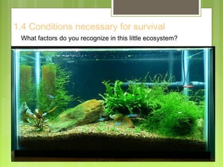 1.4 Conditions necessary for survival
What factors do you recognize in this little ecosystem?
 