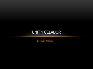UNIT 1 CELADOR 
By Haydn Williams 
 