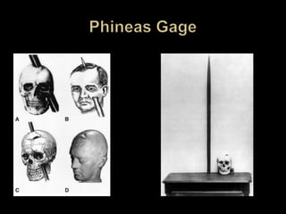 Others may admire you, wishing they could be more like you, but don’t always trust you hesitating to become too deeply involved with you51 to 60 Points:Others see you as an exciting, rather impulsive personality, a natural leader, who is quick to make decisions, though not always the right ones