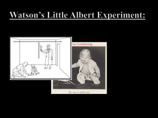 The Cambridge University Language Study O lnysrmatpoelpe can raedtihs. I cdnuoltblveieetaht I cluodaulacltyuesdnatnrdwaht I was rdanieg. The  phaonmnealpweor of the hmuanmnid, aoccdrnig to a rscheearch at CmabrigdeUinervtisy, it deosn'tmttaer in wahtoredr the ltteers in a wrod are, the olnyiprmoatnttihng is taht the frist and lsatltteer be in the rghitpclae. The rset can be a taotlmses and you can sitllraed it wouthit a porbelm. Tihs is bcuseae the huamnmniddeos not raederveylteter by istlef, but the wrod as a wlohe. Amzanig huh? yaeh and I awlyastghuhotslpeling was ipmorantt! 