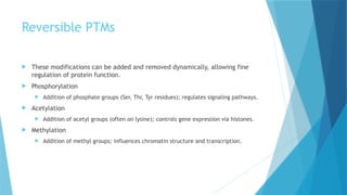 Post-Translational Modifications of Proteins | PPTX