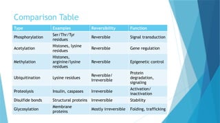 Post-Translational Modifications of Proteins | PPTX
