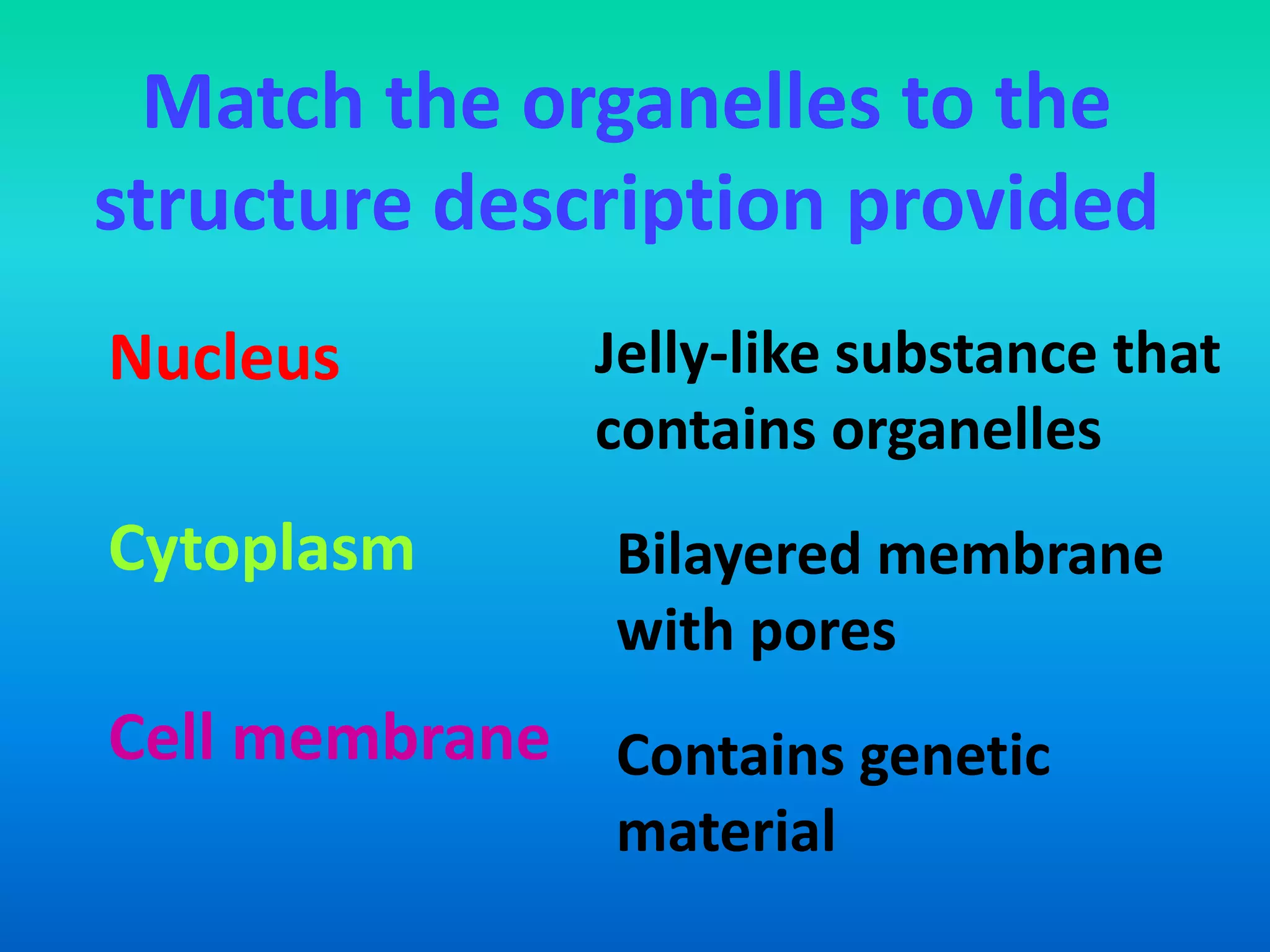 Match the organelles to the
structure description provided
Nucleus        Jelly-like substance that
               contains organelles
Cytoplasm       Bilayered membrane
                with pores
Cell membrane Contains genetic
                material
 