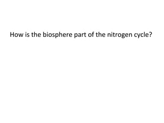 How is the biosphere part of the nitrogen cycle?

 