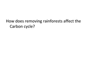 How does removing rainforests affect the
Carbon cycle?

 