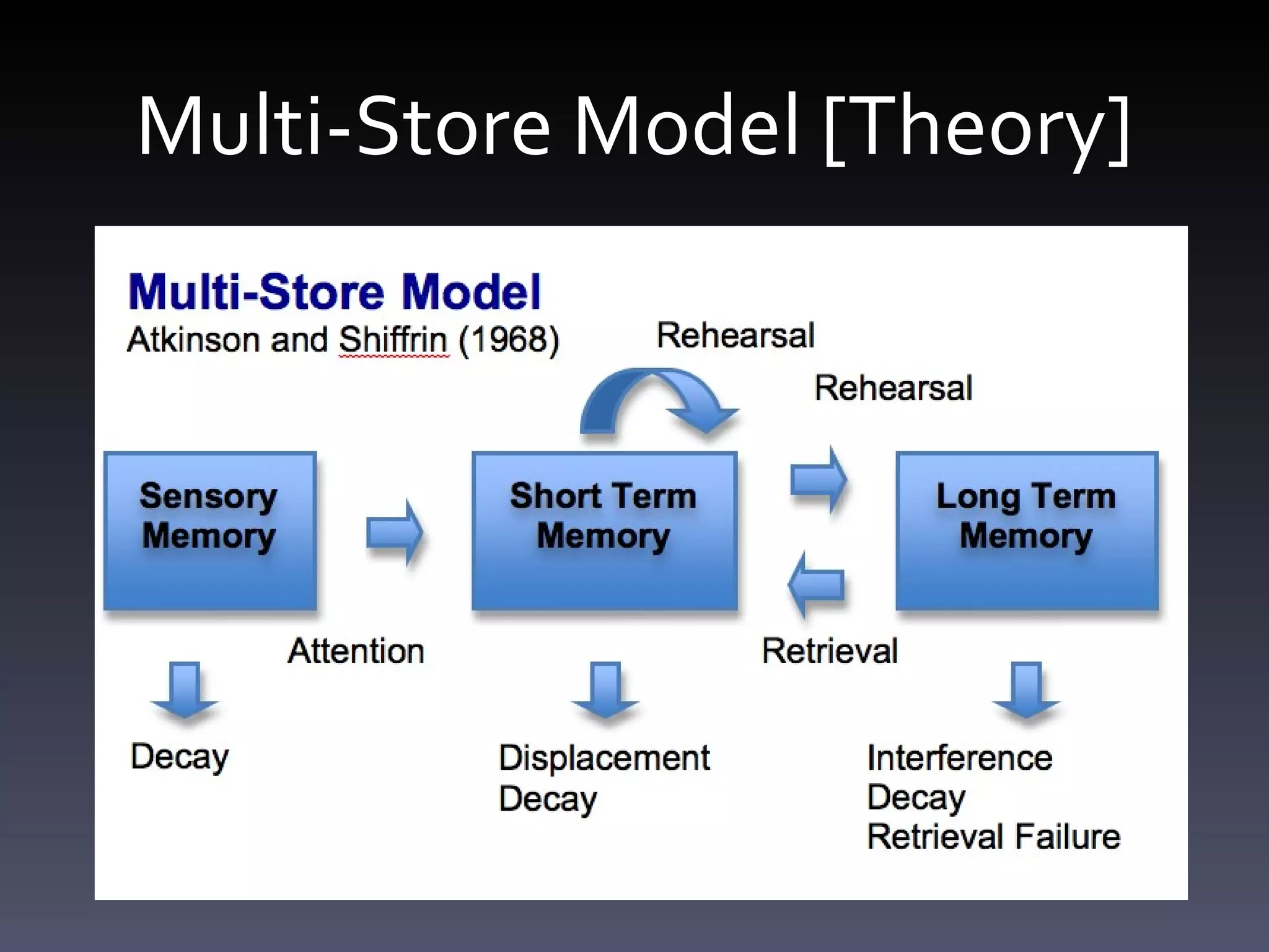 Multi-Store Model [Theory] 
